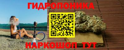 таблы Гусев